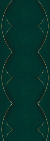 160x450